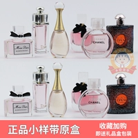 Counter Big -Name Perfum
