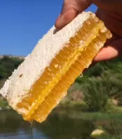 Xiao Jing Ge Tinh khiết tự nhiên tổ ong mật ong 1 kg tải Máy chà nhám hỗ trợ khung ép dầu gội - Kính mắt kính