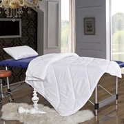 Vẻ đẹp bedspread là lõi siêu mềm lông nhung giường quilt massage salon tùy chỉnh điều hòa không khí là mùa hè mát mẻ là