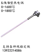 Cặp nhiệt điện bạch kim rhodium S loại WRP-120/130 nhiệt độ lò nhiệt độ cao que đo nhiệt độ R loại WRR cảm biến nhiệt độ B loại WRB