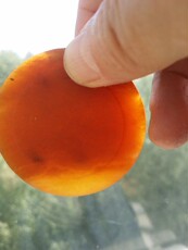 Ювелирные изделия и полуфабрикаты 天然黄龙玉黄蜡石黄龙玉镯芯原石 奇石原石