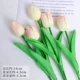 Светло -розовый -симуляция тюльпана 5
