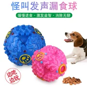 Pet dog vocal rò rỉ thực phẩm bóng lạ lạ tiếng ồn tràn bóng pet dog và thức ăn cho chó bóng pet đồ chơi vocal bóng