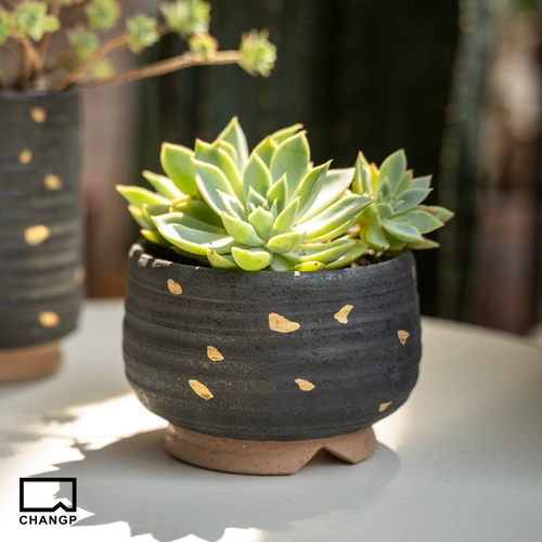 Керамический креативный черный цветочный горшок