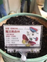 Gulangyu Zhongshan Road Guilian Германия импортировал разнообразные цветочные фрукты чай магический шварцвальд старше 100