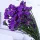 Глубокий фиолетовый, забудь меня