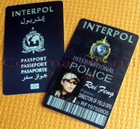 Автобусная карточка/карточка трафики/дверная карта персонализированная настройка карты!International Interpol/ICPO/InterPOL