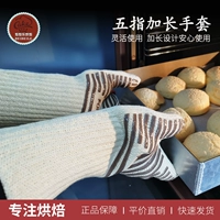 Французская запеченная изоляционная деление перчаток является только устойчивым к дому с высокой температурой против печи с изоляцией печи.