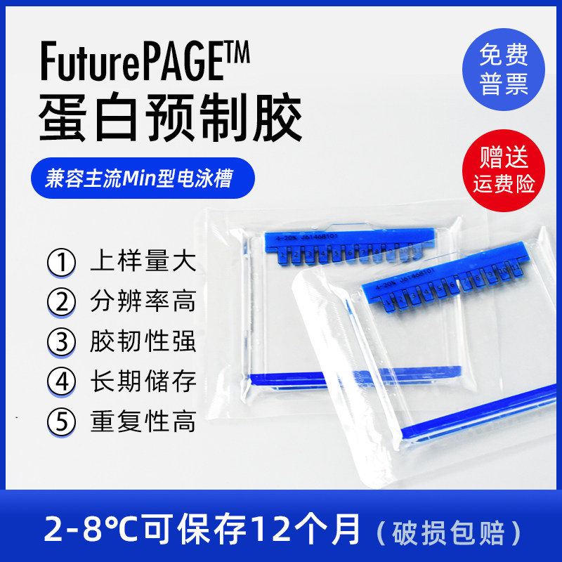 Western blot 蛋白预制胶 SDSPAGE电泳蛋白胶 MOPS 体系梯度胶淘宝网