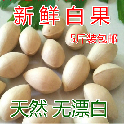 [2025年新鲜生白果银杏果5斤装装包邮邳州带壳大佛指银杏仁白果仁]