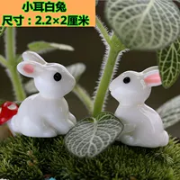 Кремовый, белый