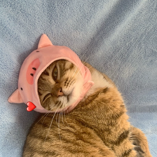 Милый розовый шлем, шапка, аксессуар для волос, наряжаться