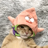 Отличная звезда