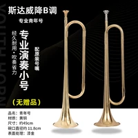 Стив Профессиональный Молодежский сокращение B Тон (без подарка)