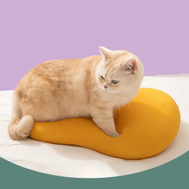 猫肚皮枕头蛋黄枕记忆棉