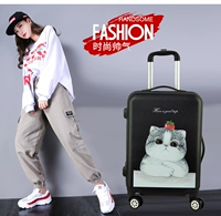 Черная жирная кошка