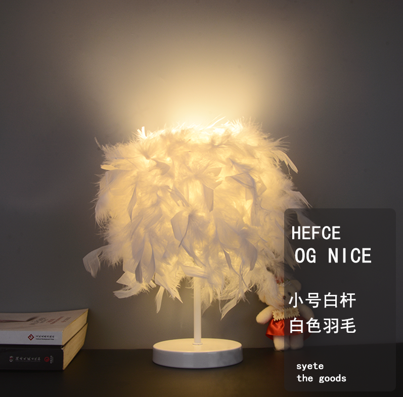 (Small White Pole) Eye Protection Bulb - 5 WattsInternet celebrity Feather Desk lamp girl ins Decorative lamp sleep nurse cozy remote control dream bedroom Bedside Night light