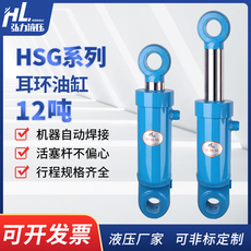 Гидравлический цилиндр 100缸径hsg12吨双向油缸液压缸定做单向液压缸油缸定做耳环