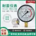 YN100 chống sốc đồng hồ đo áp suất 0-0.6/1.6/2.5MPa áp suất nước áp suất dầu đồng hồ đo thủy lực chống địa chấn xuyên tâm lắp đặt 