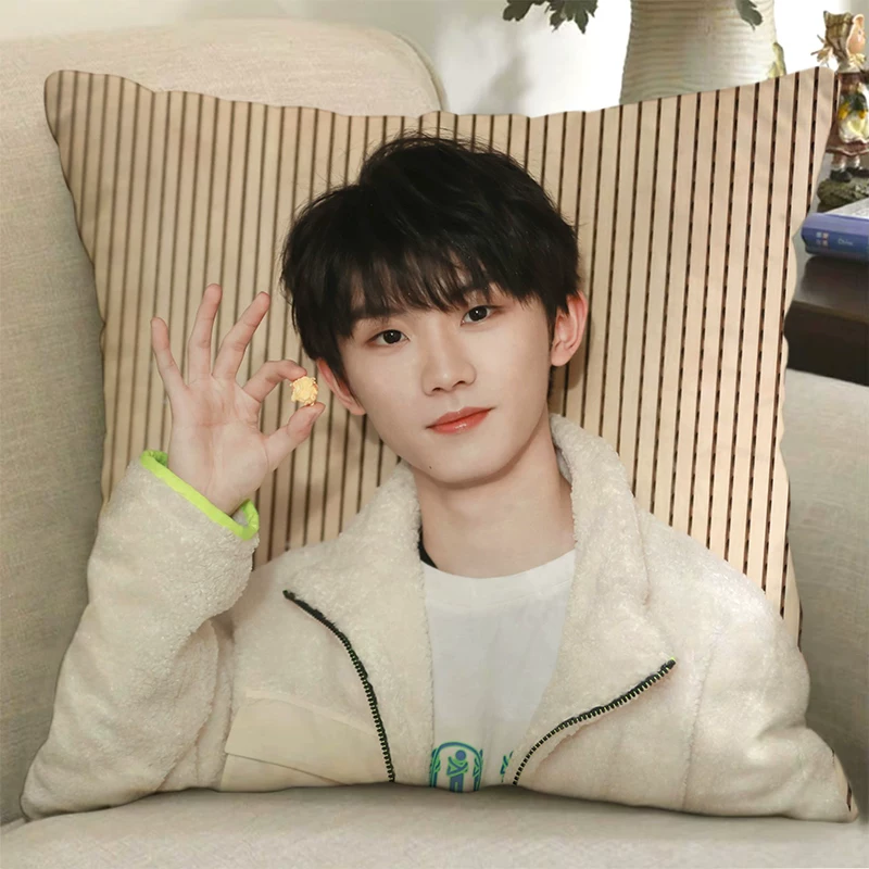 Плакат с изображением куклы TNT Times Youth Team Pillow Song Yaxuan Liu Yaowen Ma Jiaqi Pig Pigramate подарок