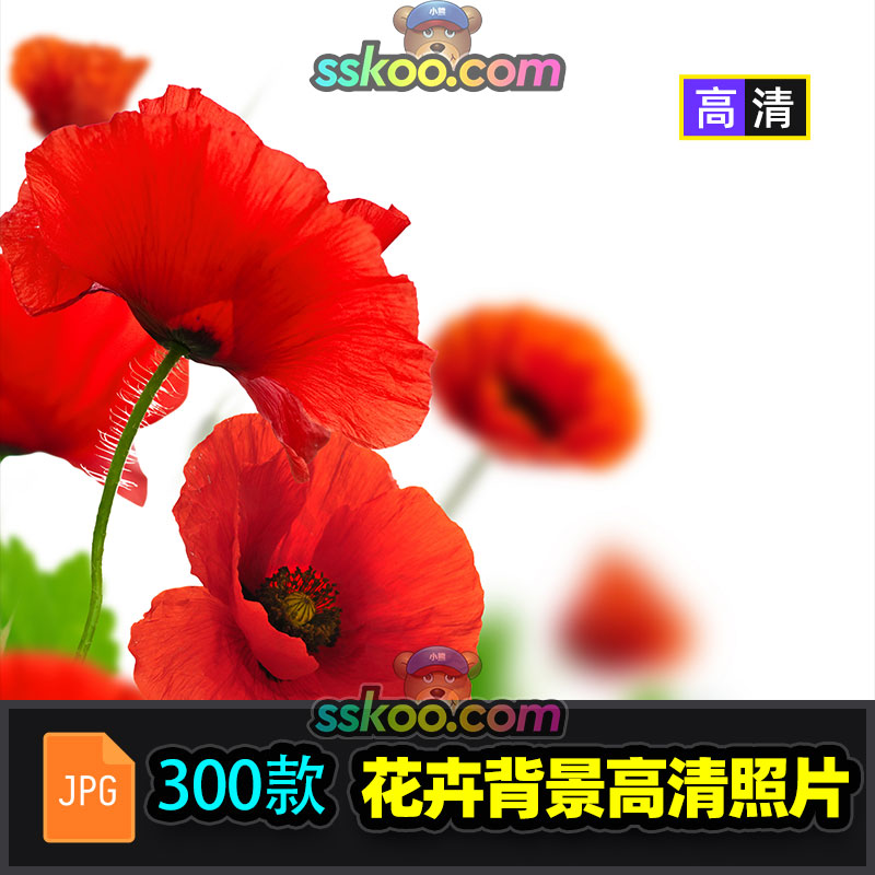 花朵花卉鲜花特写高清摄影照片JPG图片图库海报背景平面设计素材