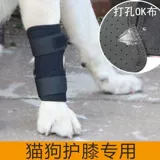 Домашние кошки и собака задних ног слабые переломы суставов Старожи