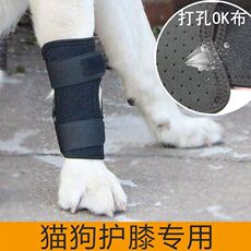 Носки для животных 宠物猫狗狗后腿无力关节保护骨折老年狗护腿支架护套短腿柯基法斗