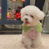 Демисезонный флисовый милый морковный жилет, увеличенная толщина