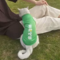 Ешьте на лице [Летняя тонкая модель]