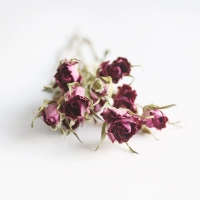 Роза фиолетовый (пять упаковок)