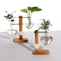 Terrarium Hydroponic Plant Vases Vintage Flower Pot Transpar