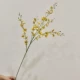 5 ngạnh của hoa lan nhảy múa chất lượng cao hoa nhân tạo trang trí nội thất đồ trang trí bàn hoa hoa nhân tạo hoa lan vũ nữ màu vàng châu Âu cây hoa giả để phòng khách cây trầu bà leo cột giả
