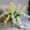 Hoa lan mô phỏng, hoa lan nhảy múa, hoa lan dendrobium, hoa lan mô phỏng, hoa cưới, hoa mô phỏng, hoa giả, hoa trang trí, hoa để bàn các loại lan giả hạc cây hoa giả để phòng khách
