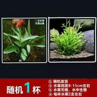 Случайная чашка всасывания