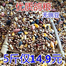 Птиц Еда 5斤优质鸽粮无豌豆幼鸽子粮鸟食赛飞营养饲料信鸽肉鸽观赏鸽仓鼠