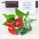 Короткая 3 -хедная красная пальма [одиночный цветок]