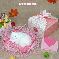 Маленькая __ розовая ткань Pure White Sleep Cat -с подарочной коробкой с подарочной коробкой