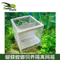 Других насекомых рептилий/тревоги 蝴蝶螳螂饲养网笼鱼缸鱼苗水中隔离网箱昆虫饲养大号2室3室包邮