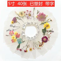 Большие 40 цветов (этикетки пластиковой ленты)