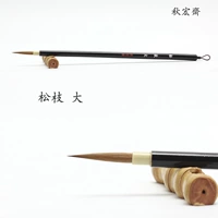 Черное кольцо, сосна Zhi Da