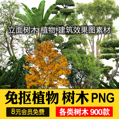0525PS园林景观植物PNG免抠图绿色树木立面树乔木建筑效果...-1