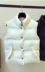 Vest nữ xuống cotton Hàn Quốc áo ngắn xuân hè thu đông 2018 mới vest không tay áo khoác cotton áo khoác vest thoi trang cong so Mùa xuân