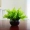 Hoa mô phỏng cây xanh trang trí chậu nhỏ nhà phòng khách trang trí nội thất trang trí máy tính để bàn trang trí hoa mini Milan - Trang trí nội thất tự trang trí phòng ngủ handmade