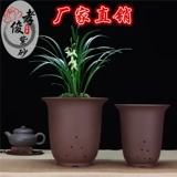 Самостоятельный бутик -бутик -бутик -фиолетовый песчаный горшок с крупным калибром орхидеи мясной горшок с цветочным горшками, джентльменская орхидея керамическая кастрюль