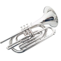 Người mới bắt đầu chơi nhạc cụ Trombone Ban nhạc B-Professional chơi nhạc cụ kèn bass giutar