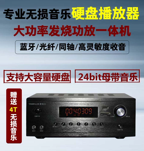 12 -летний магазин желчный пузырь лихорадка Hifi Небольшой усилитель с жестким диском неразрушающим игроком