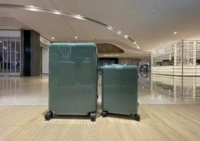 Сосновая зеленая