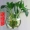 Sáng tạo bình hoa hoa bình hoa đứng acrylic tường sticker cây xanh vườn hoa chậu hoa chuông vàng mô phỏng - Vase / Bồn hoa & Kệ