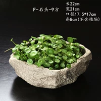 F-Stone-9