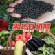 1 кошечки фруктов и овощных органических удобрений